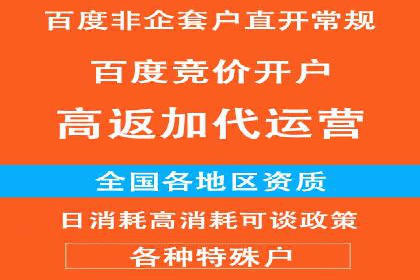 案例解读：网络推广与竞价策略